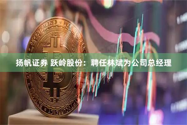 扬帆证券 跃岭股份：聘任林斌为公司总经理